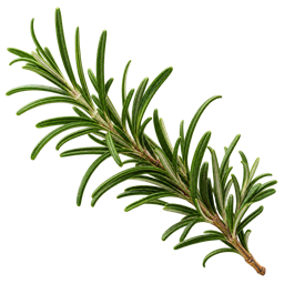 Rosemary